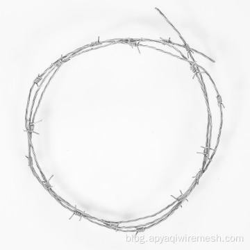 1.6mm 2.0mm Galvanized Twisted Barbed Wire